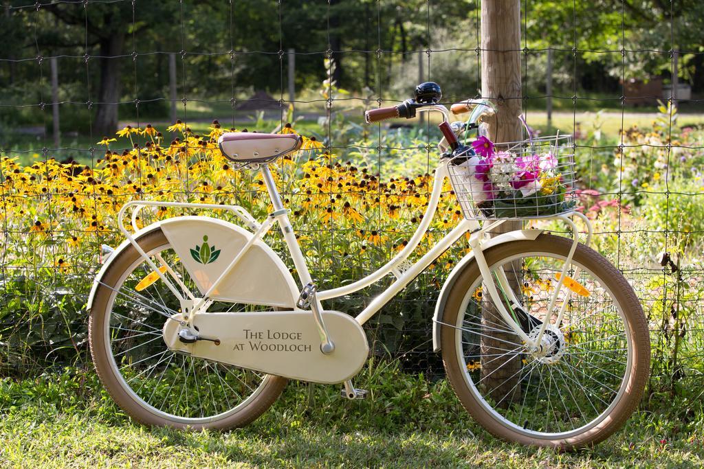 The Lodge At Woodloch Hawley Exteriör bild