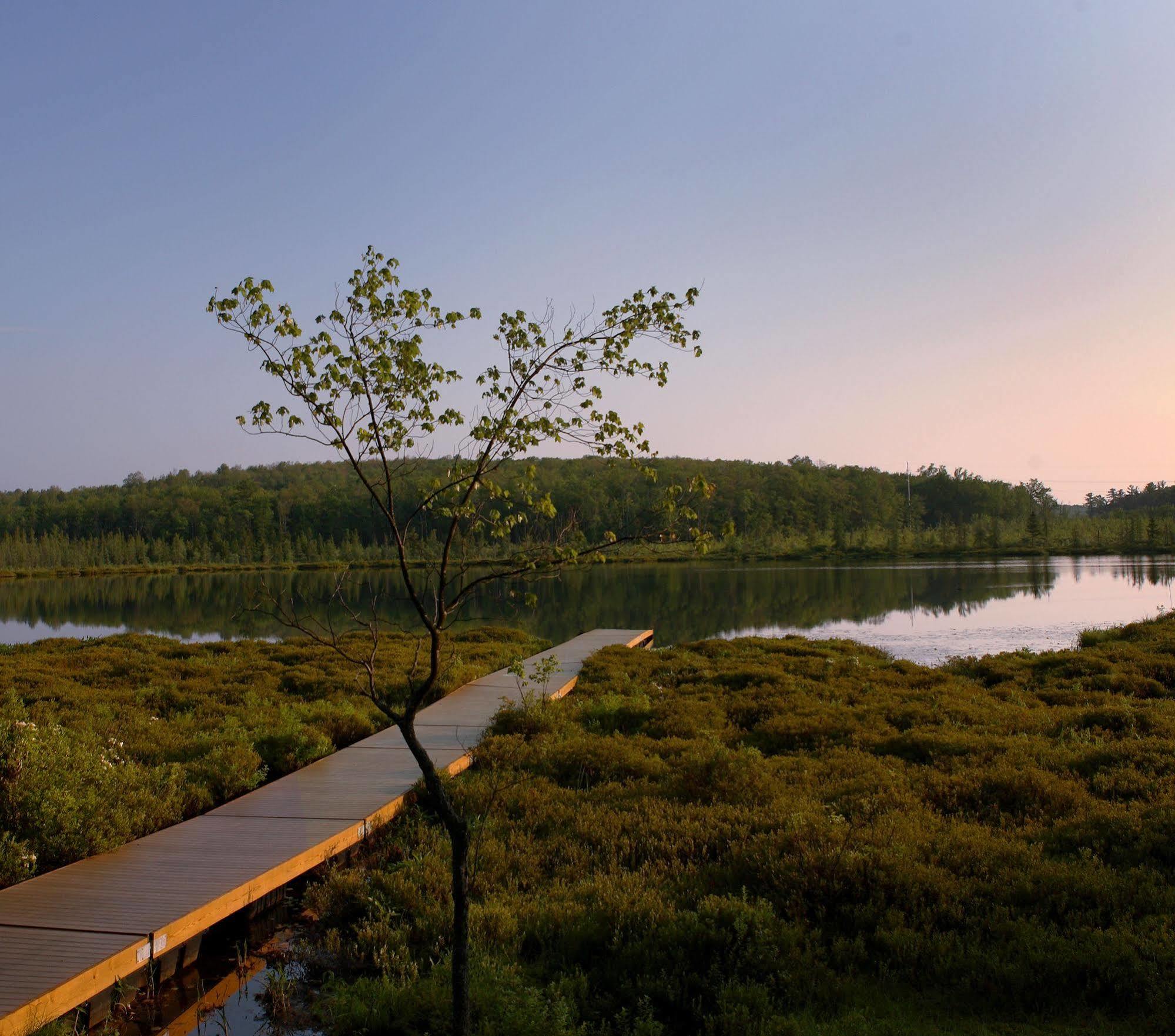 The Lodge At Woodloch Hawley Exteriör bild